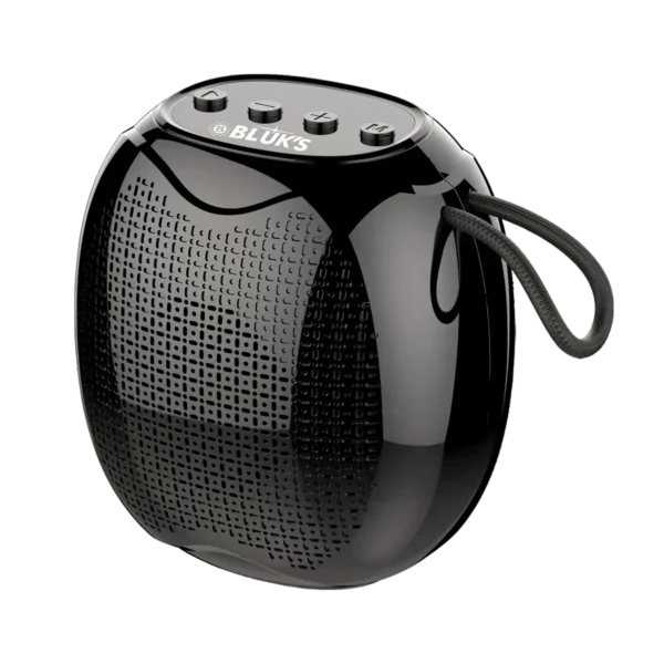 Bluks BX-171 Portable Wireless Speaker